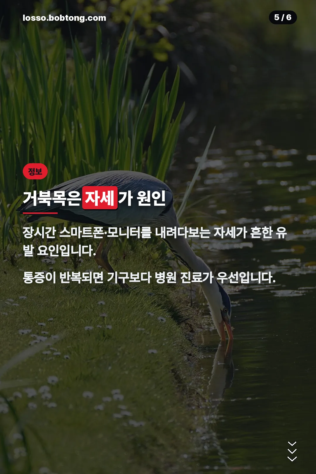 거북목 원인은 자세