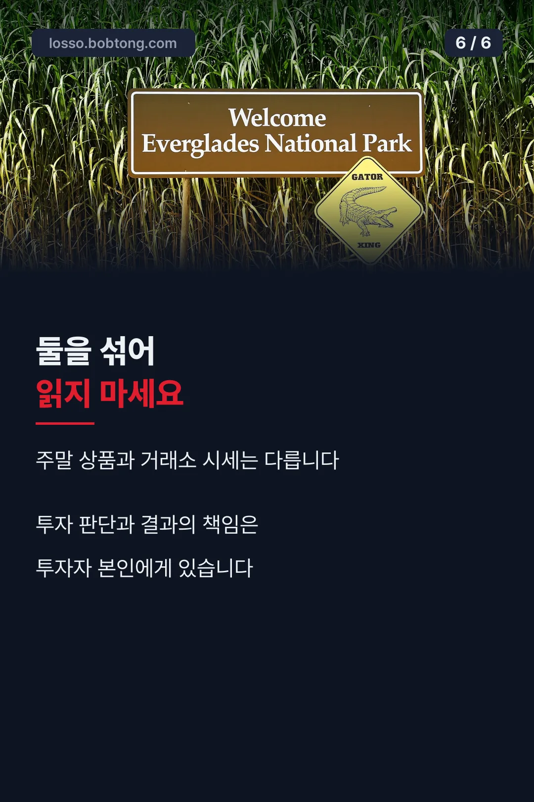 투자 유의 안내