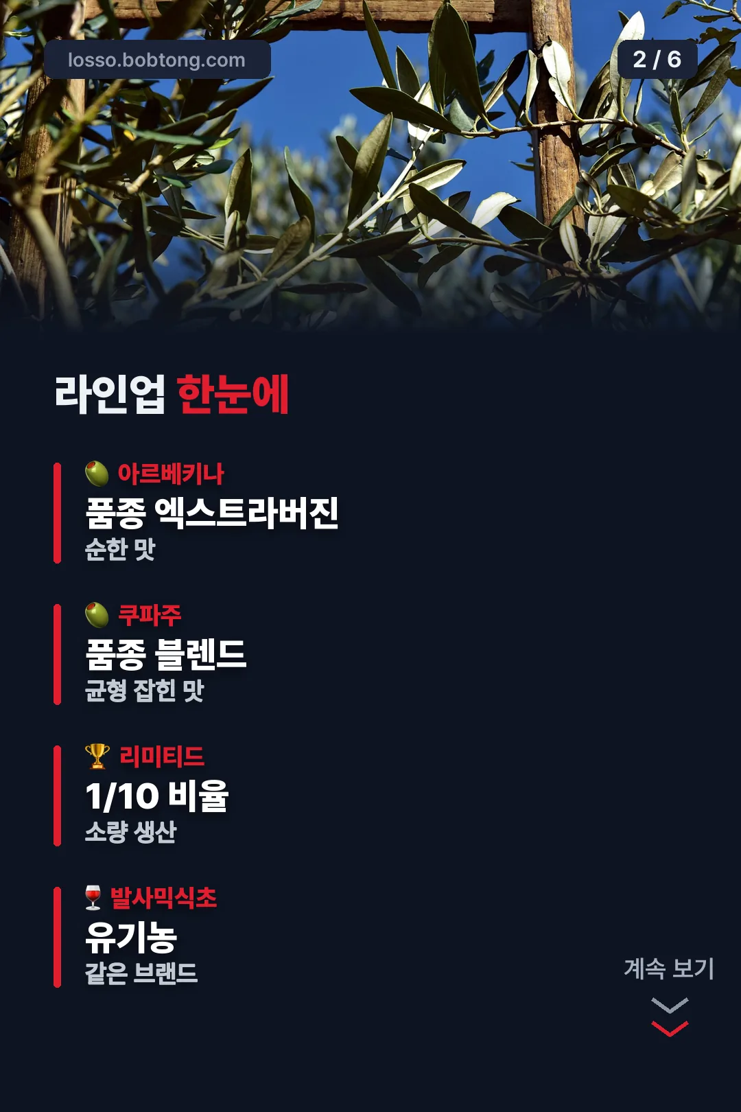 라인업 한눈에