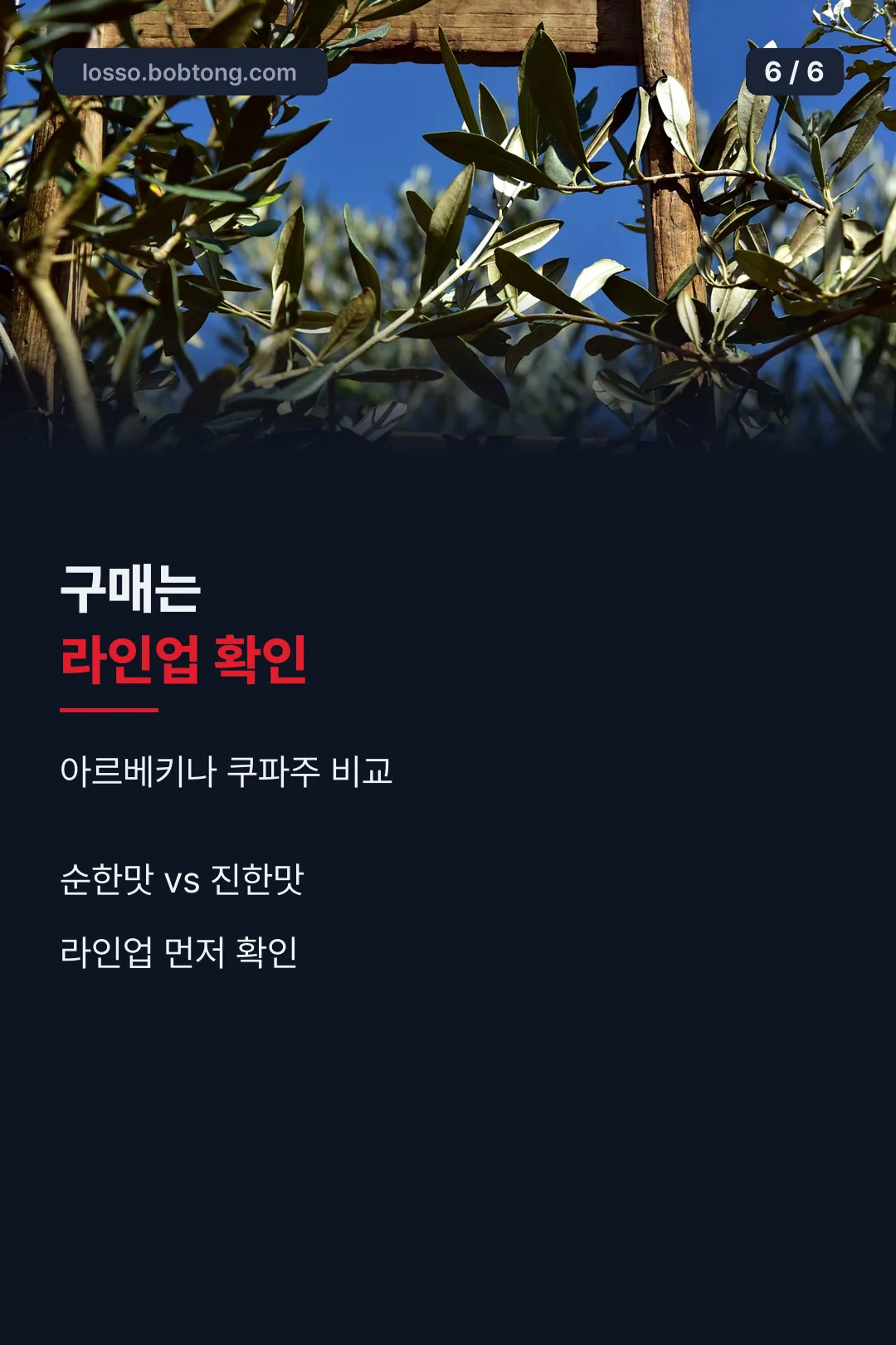구매 전 라인업 비교