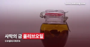 오로델데시에르토 정리 썸네일