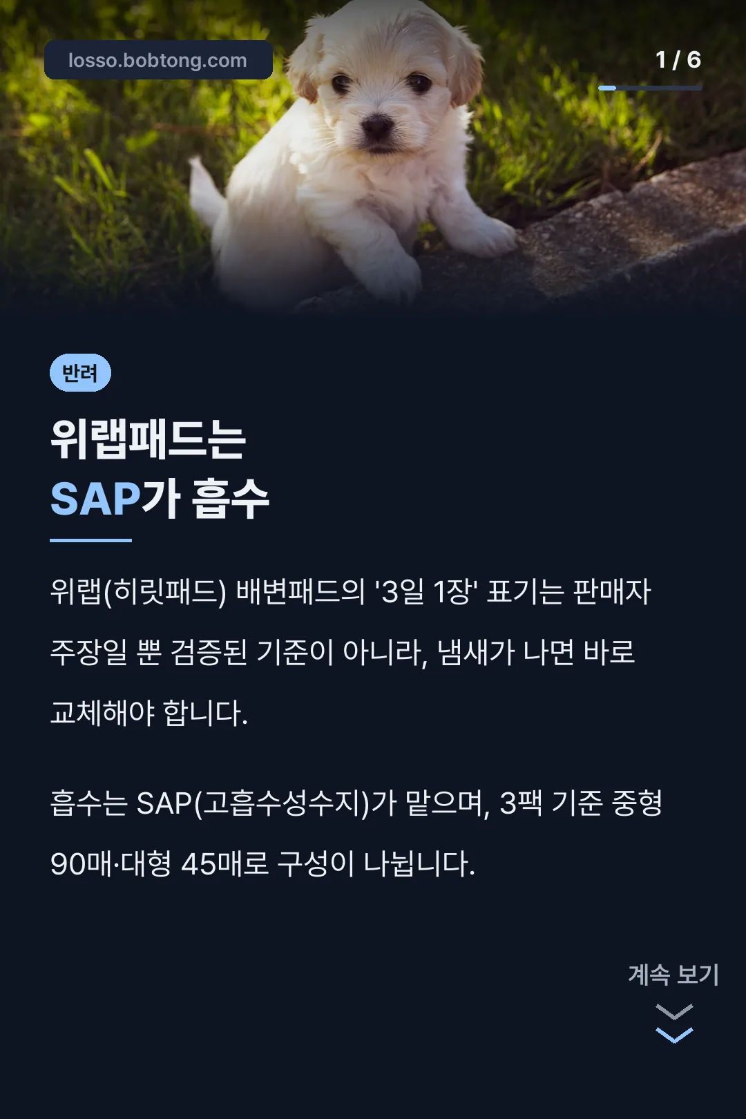 위랩패드는 SAP가 흡수
