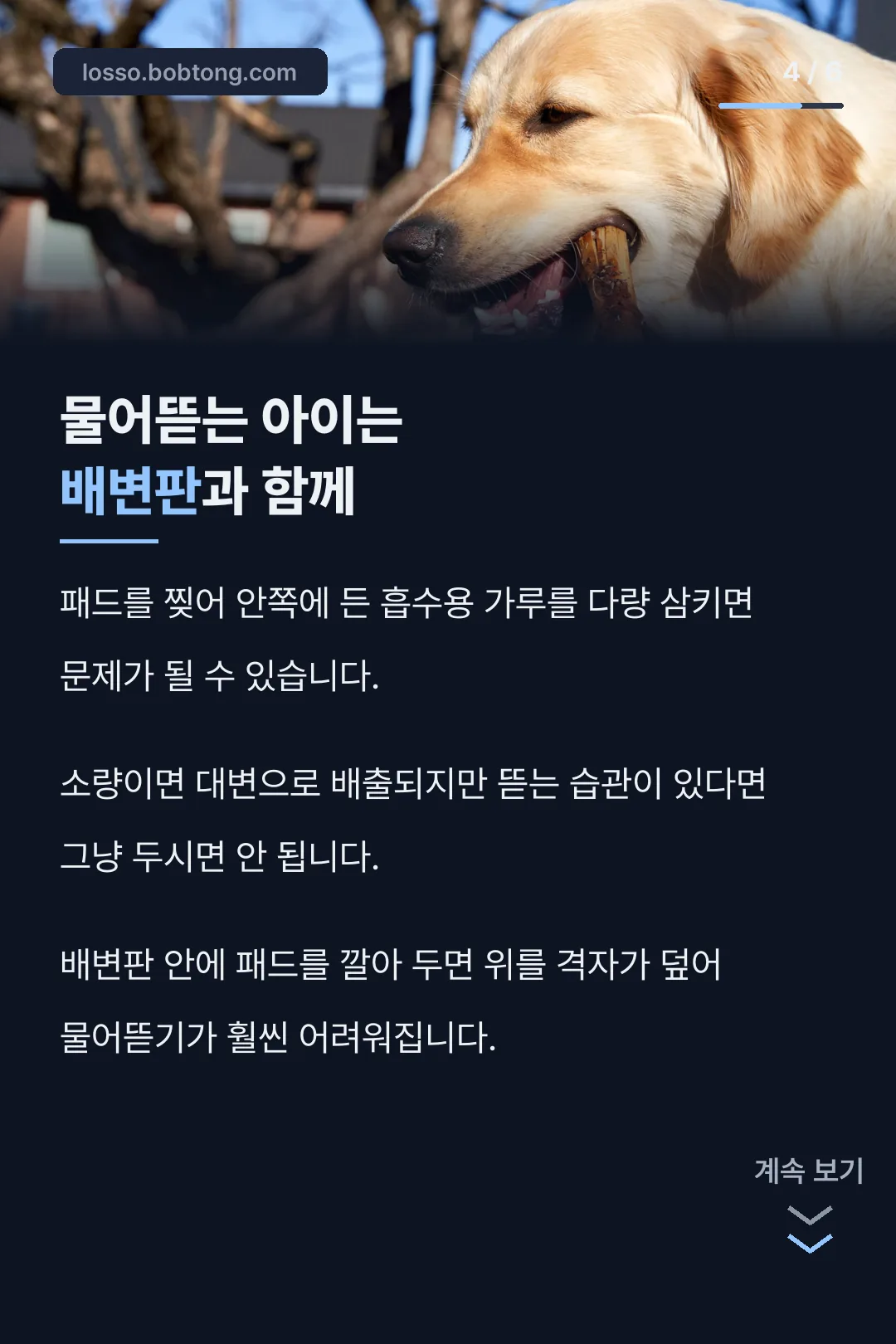 물어뜯는 아이 대처