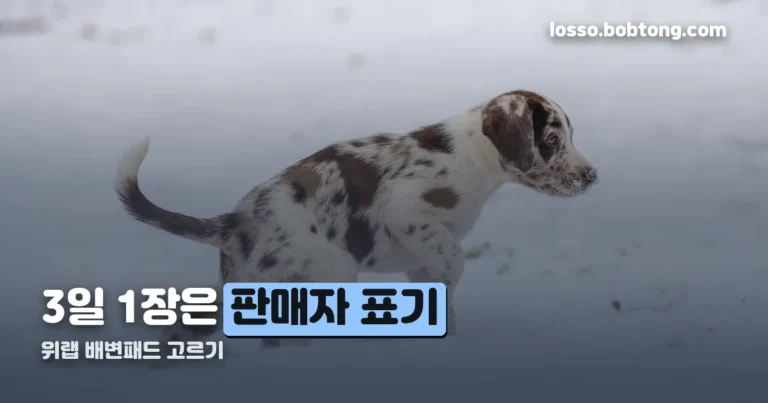 위랩 배변패드 정리 썸네일