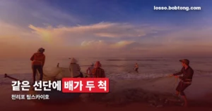 천리포 팀스카이호 — 22인승, 우럭·광어·농어가 대상 어종입니다
