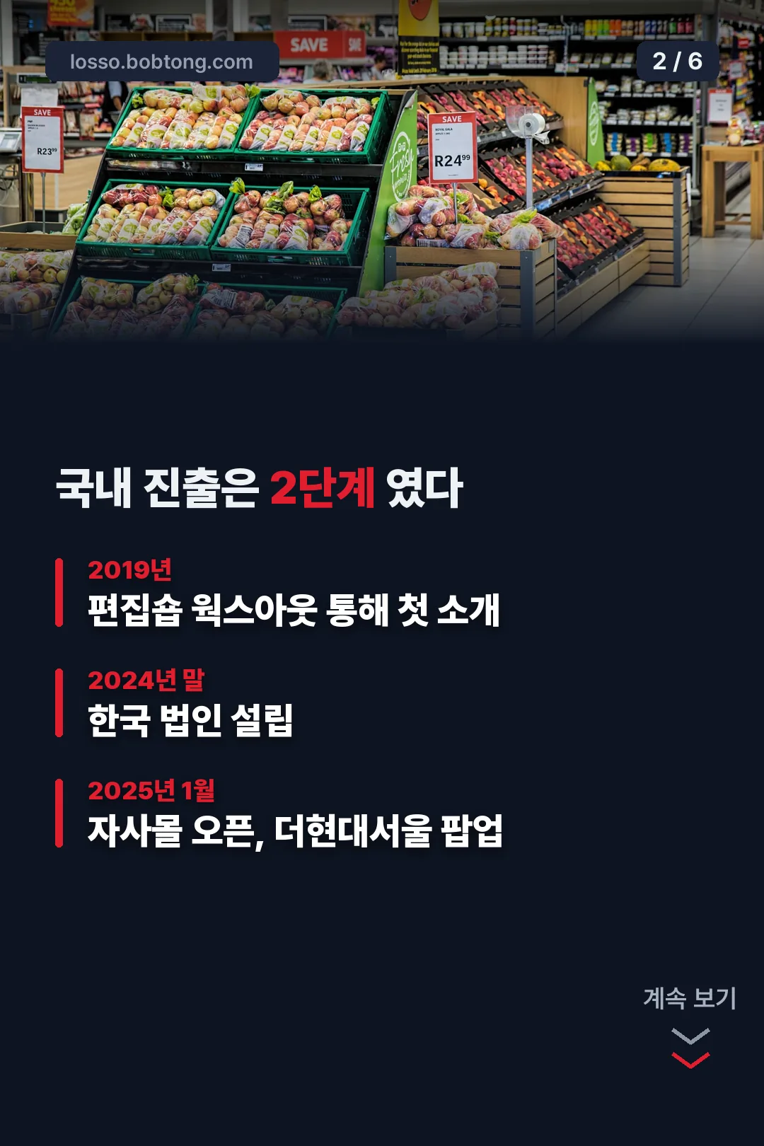 국내 진출 과정