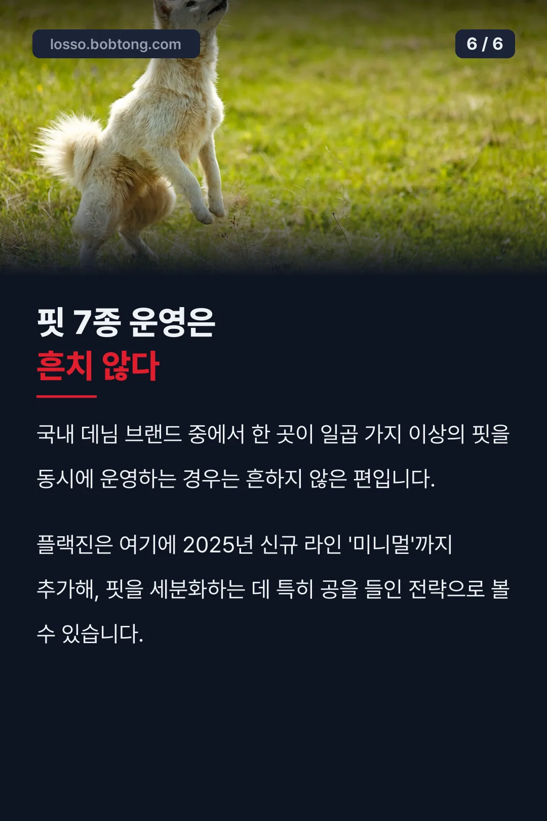 핏 7종 운영은 희소